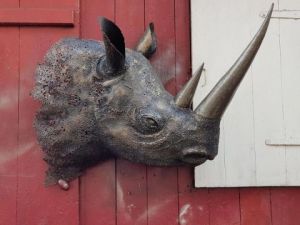 Voir le détail de cette oeuvre: Rhino